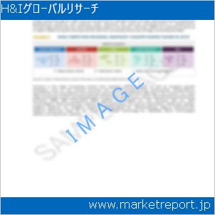 市場と産業調査レポートのイメージ